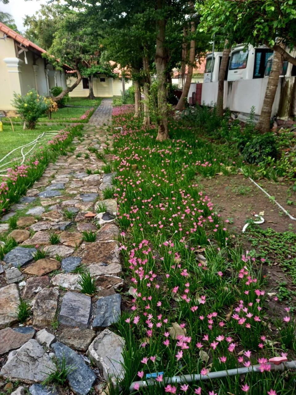 Sai Gon Con Dao Resort 外观 照片